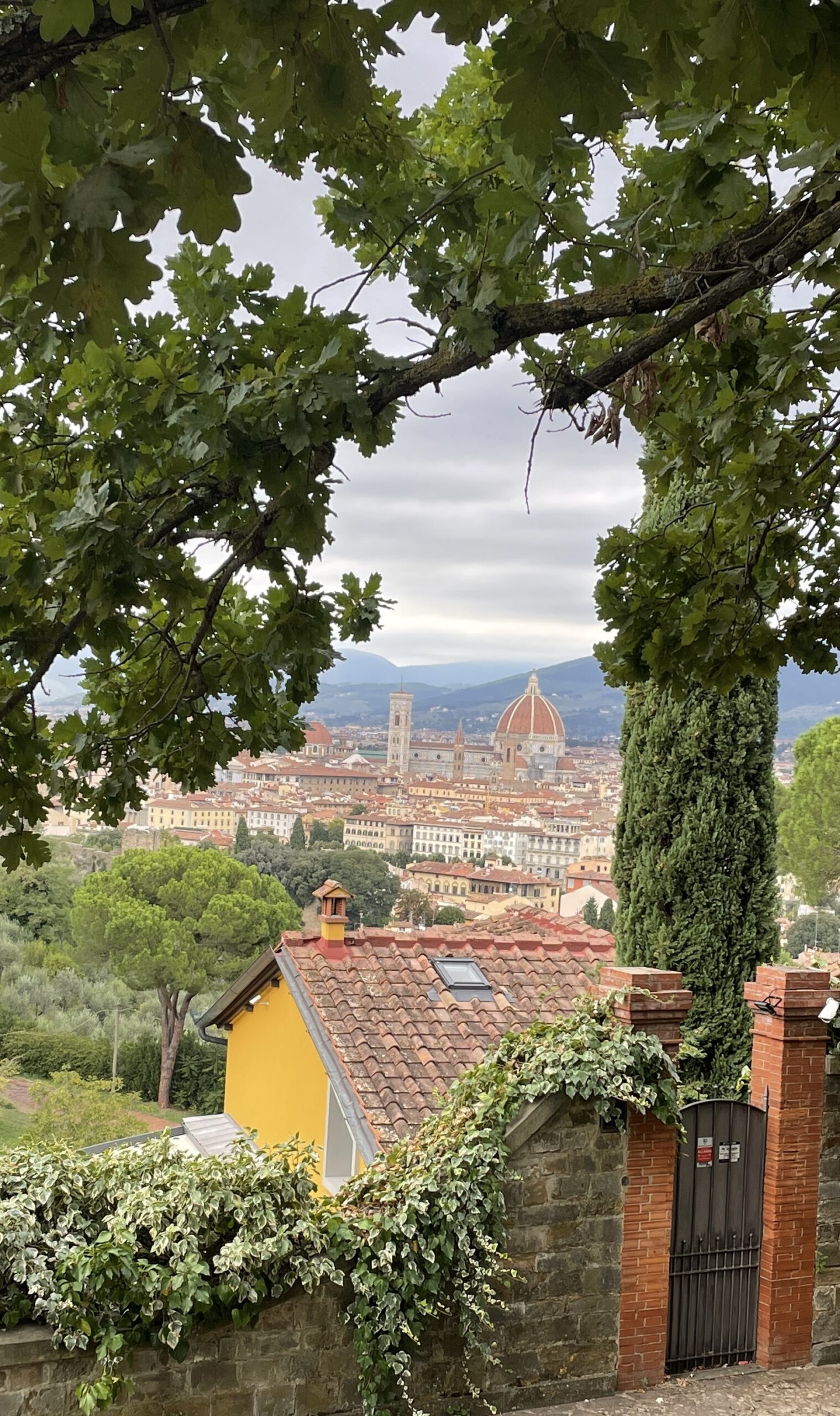 Florence view of Florence from afar