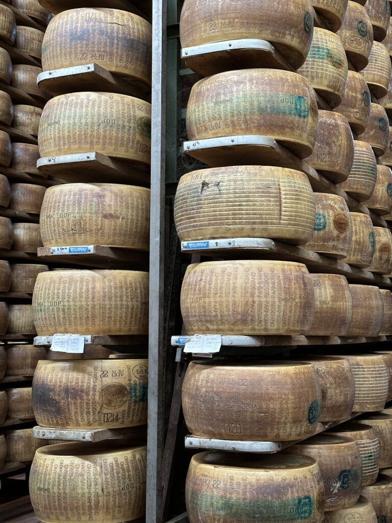 rows and rows of wheels of cheese are stacked high in a parmigiano reggiano factory in Italy