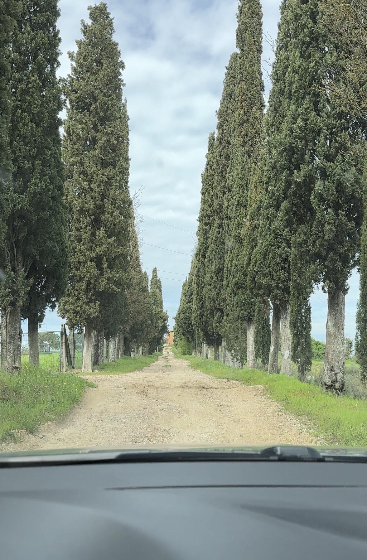 a view of a dirt road and tall green cypress trees lining it can be seen through the windshield of a car
