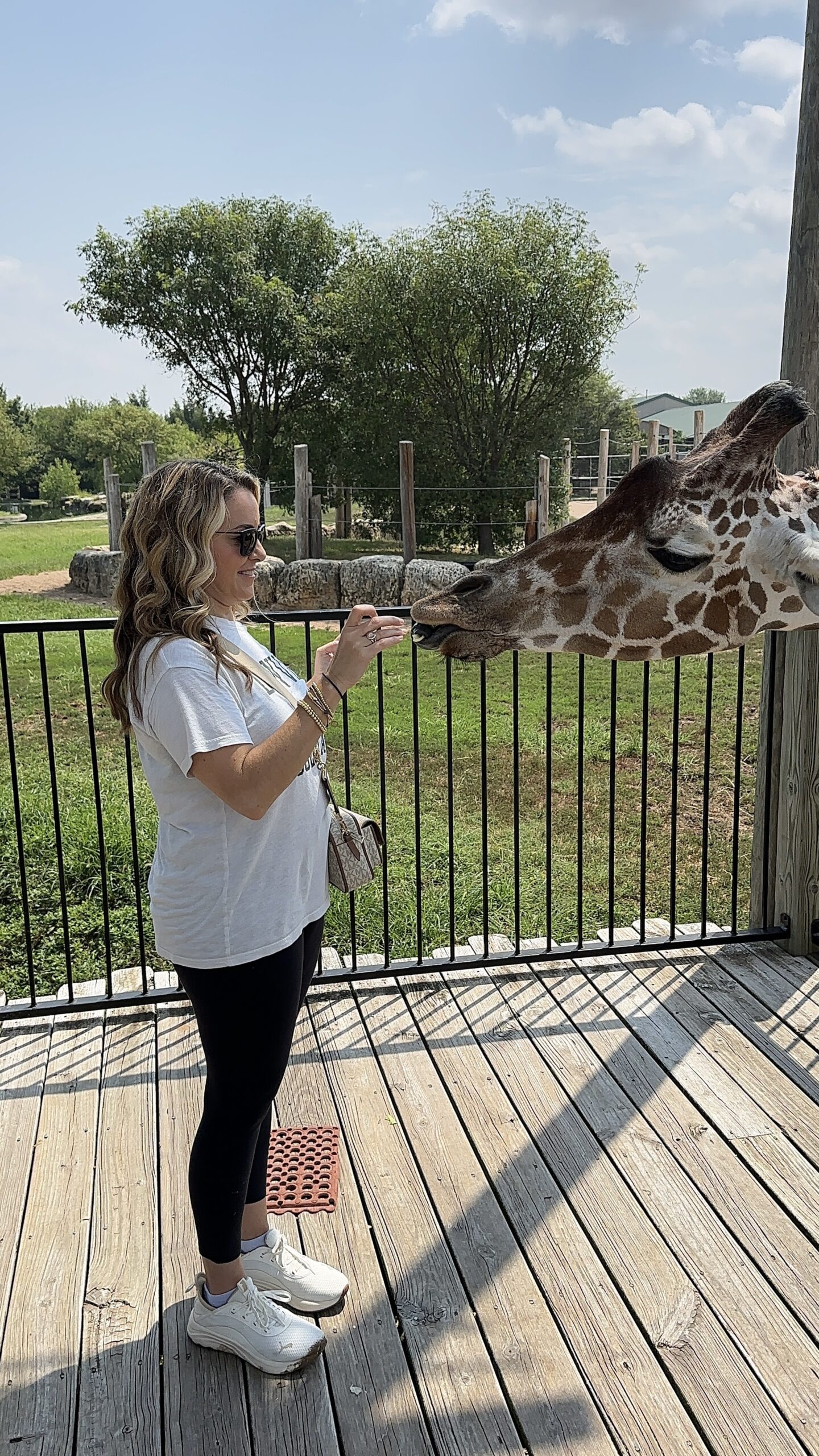 A woman in a white t-shirt and black leggings feeds a giraffe from her hand over a metal fence on a wooden deck.
